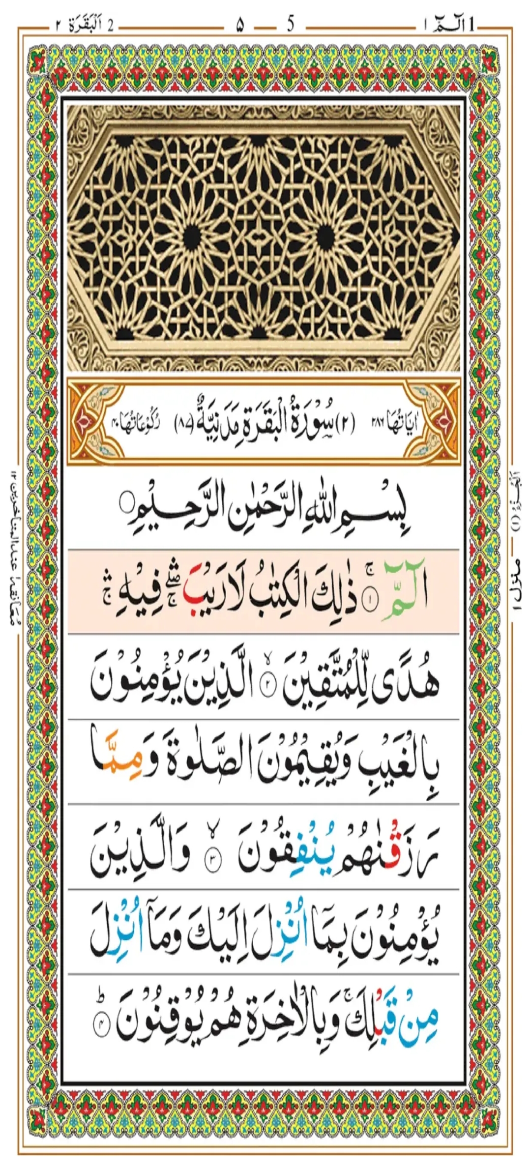 Tajweed Quran Page